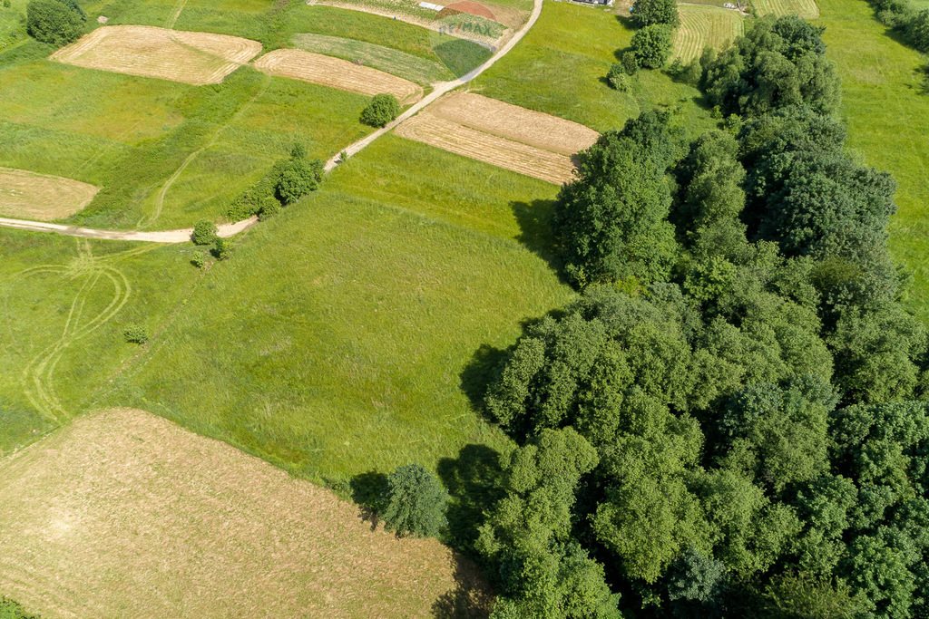 Działka rolna na sprzedaż Tenczyn  3 280m2 Foto 17