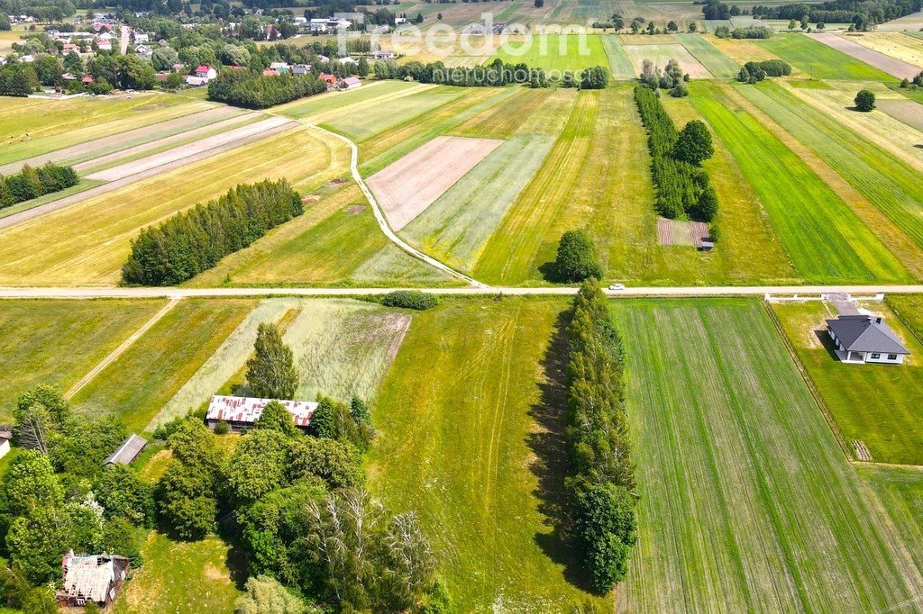 Działka budowlana na sprzedaż Maksymilianów  3 000m2 Foto 7