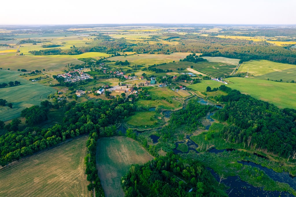 Działka rolna na sprzedaż Trzcińsko-Zdrój  7 926m2 Foto 20