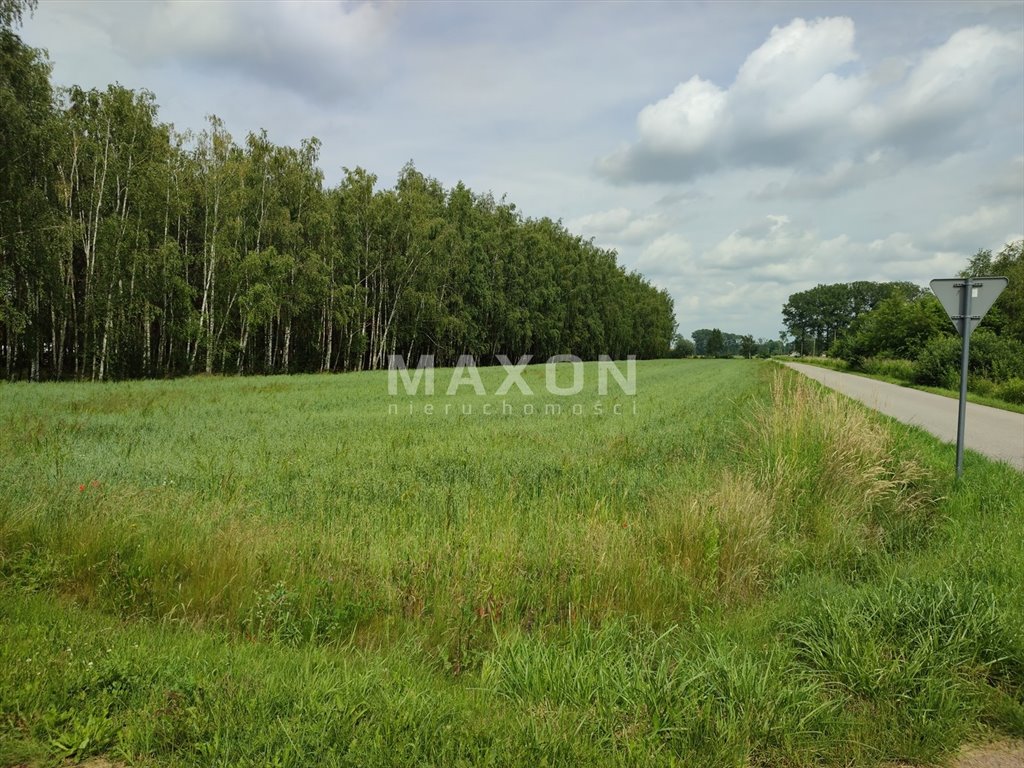 Działka budowlana na sprzedaż Nieborów, Zachodnia  8 000m2 Foto 9