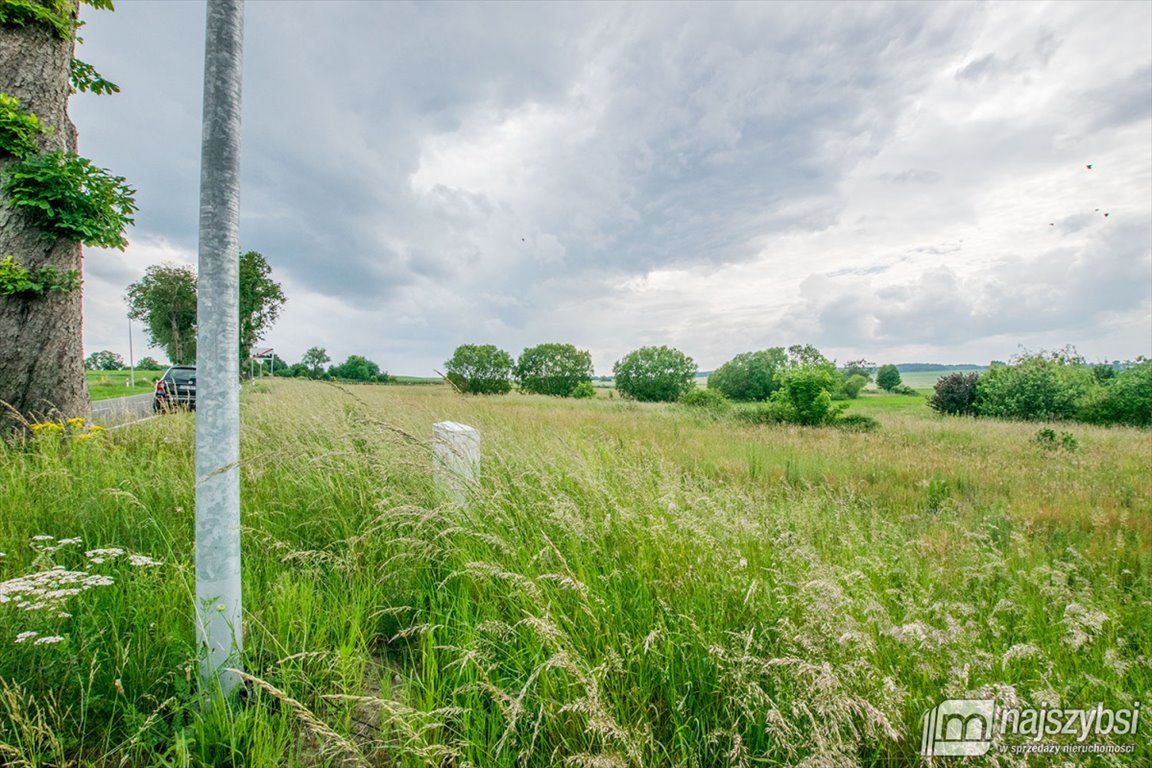 Działka rolna na sprzedaż Barwice, miasto  3 004m2 Foto 5