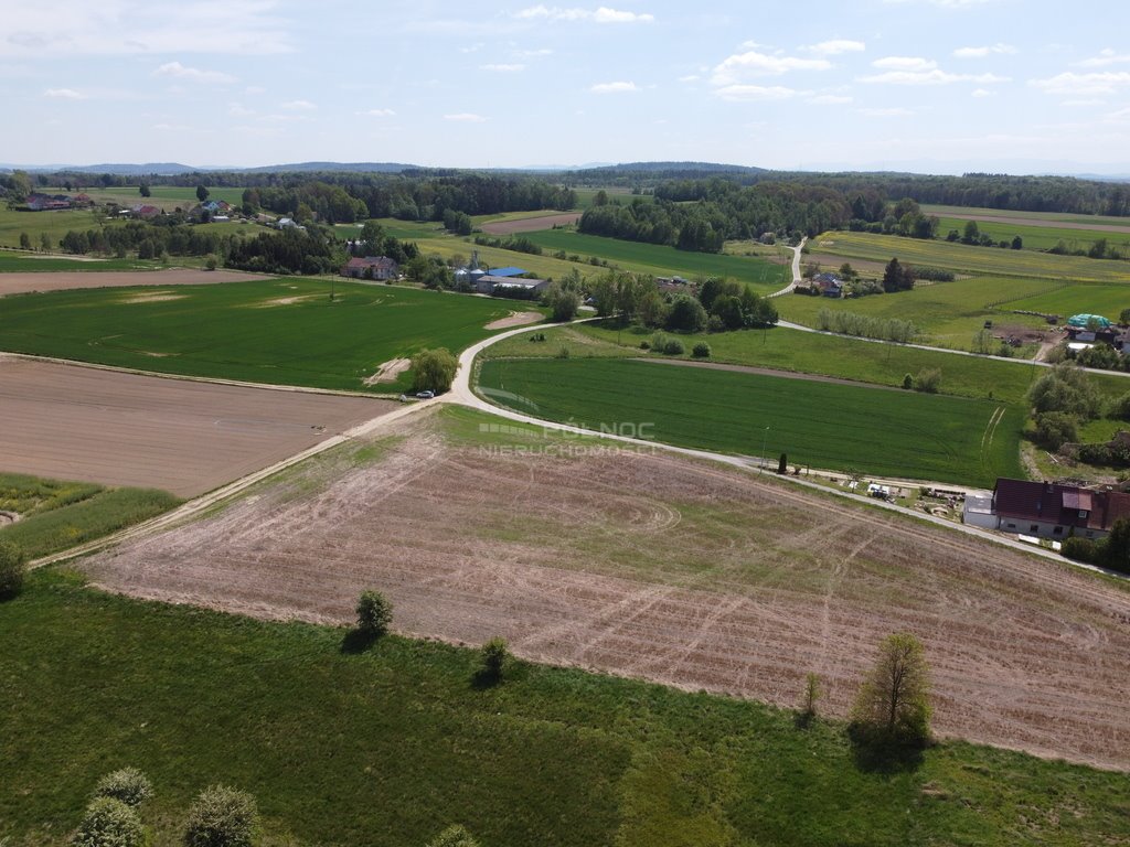 Działka budowlana na sprzedaż Żeliszów  10 500m2 Foto 5