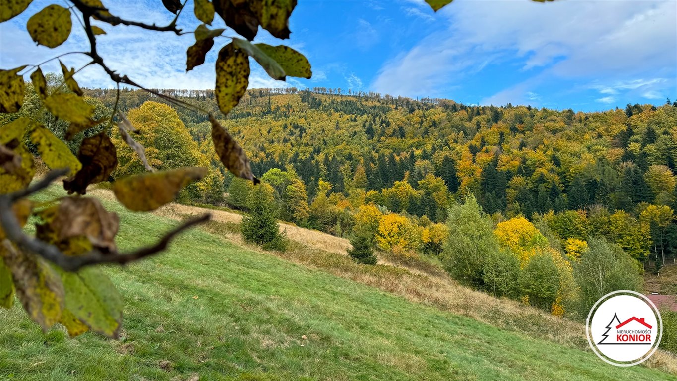 Działka budowlana na sprzedaż Szczyrk, Biła  2 914m2 Foto 4