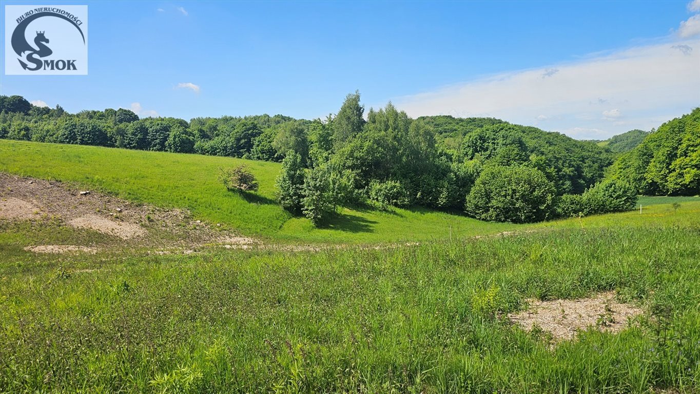 Działka rolna 9000 m² z widokiem - dostęp drogą służebną Jerzmanowice  9 000m2 Foto 1