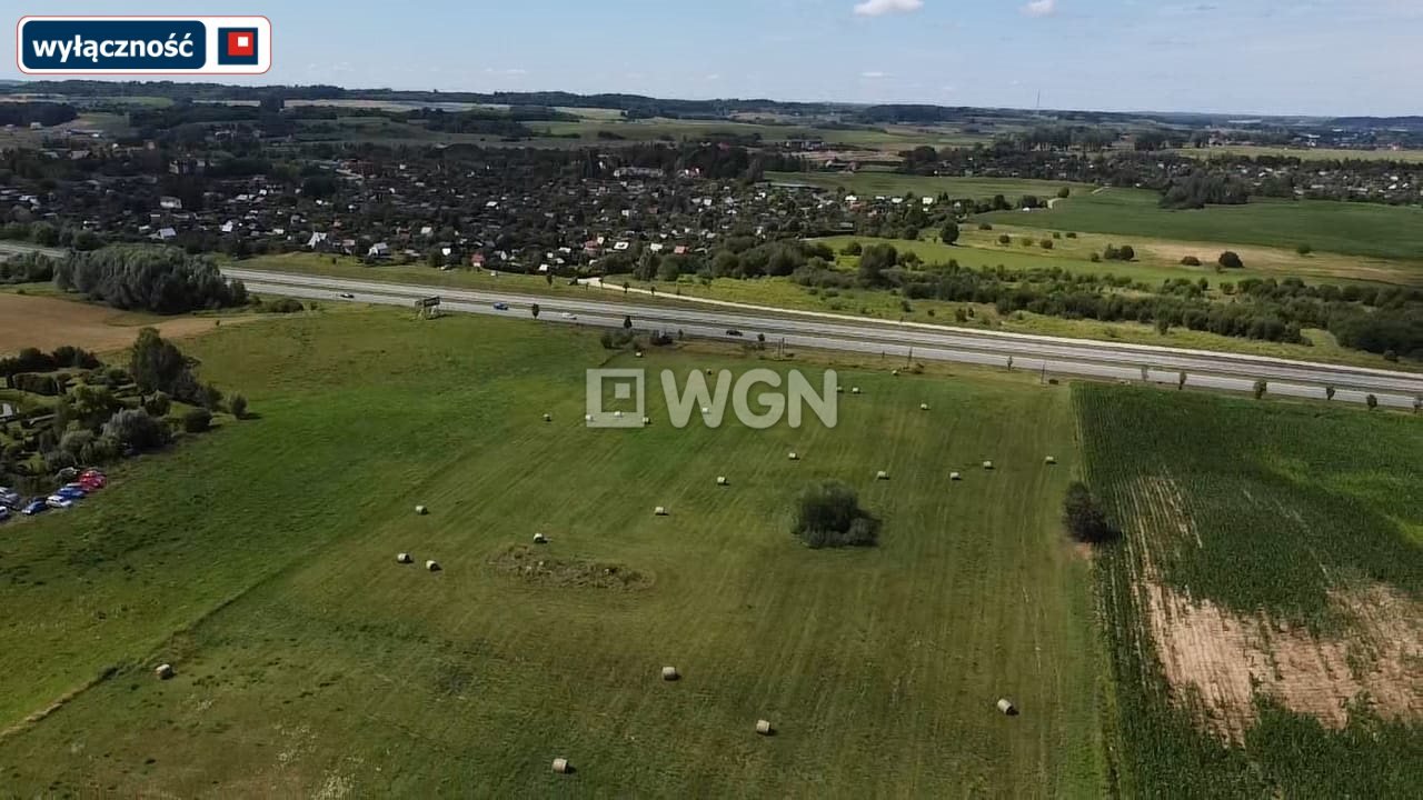 Działka inna na sprzedaż Konieczki  3 000m2 Foto 6