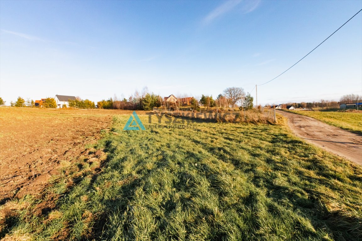 Działka budowlana na sprzedaż Skrzeszewo  2 603m2 Foto 11