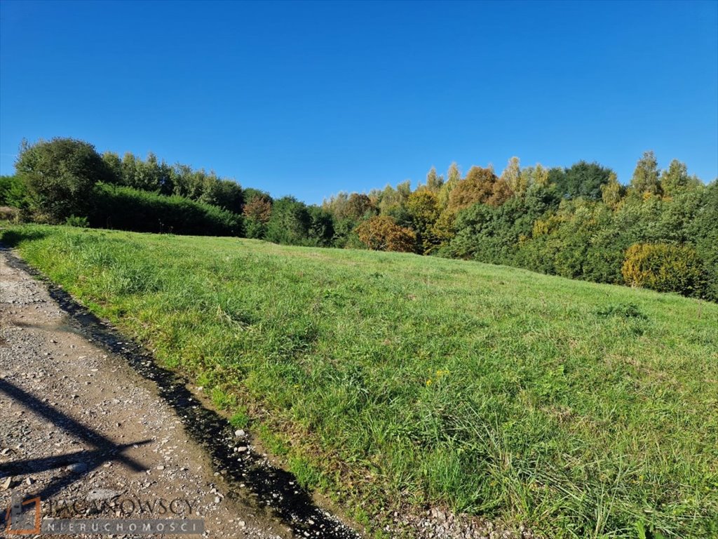 Działka budowlana na sprzedaż Michałowice  4 400m2 Foto 4