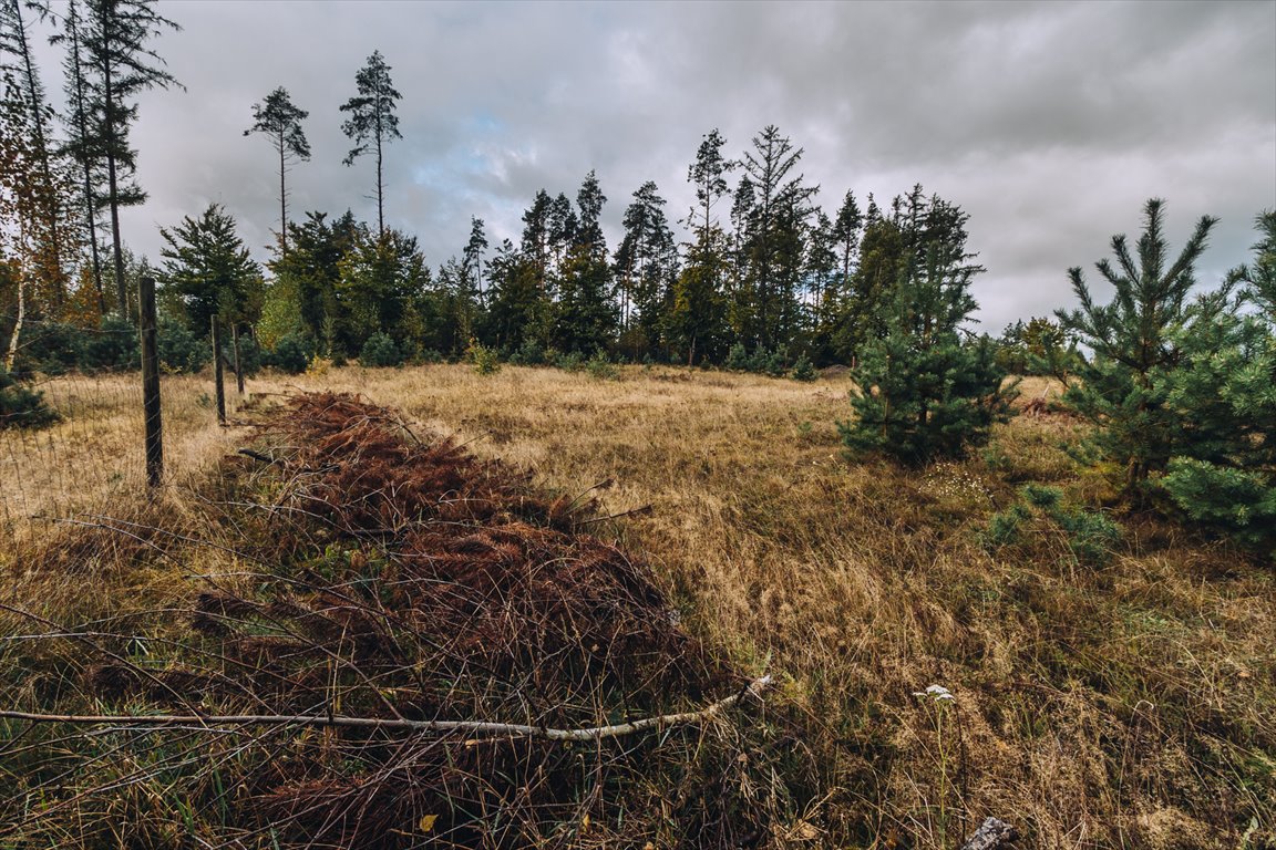 Działka budowlana na sprzedaż Sulęczyno  1 400m2 Foto 2