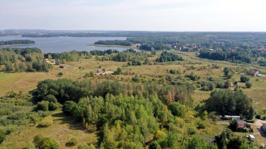 Działka budowlana na sprzedaż Ogonki  8 100m2 Foto 11