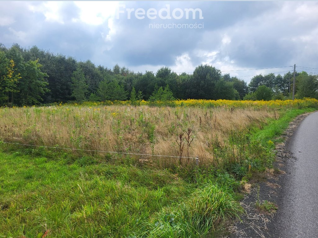 Działka budowlana na sprzedaż Wyźrał  3 004m2 Foto 1