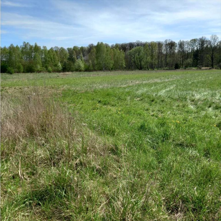 Działka budowlana na sprzedaż Polkowice  8 000m2 Foto 4