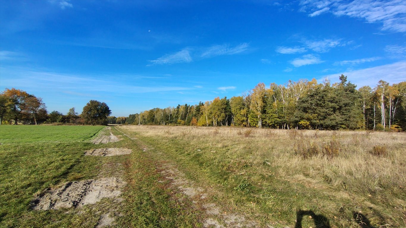 Działka budowlana na sprzedaż Brzozowica, Brzozowica  830m2 Foto 1