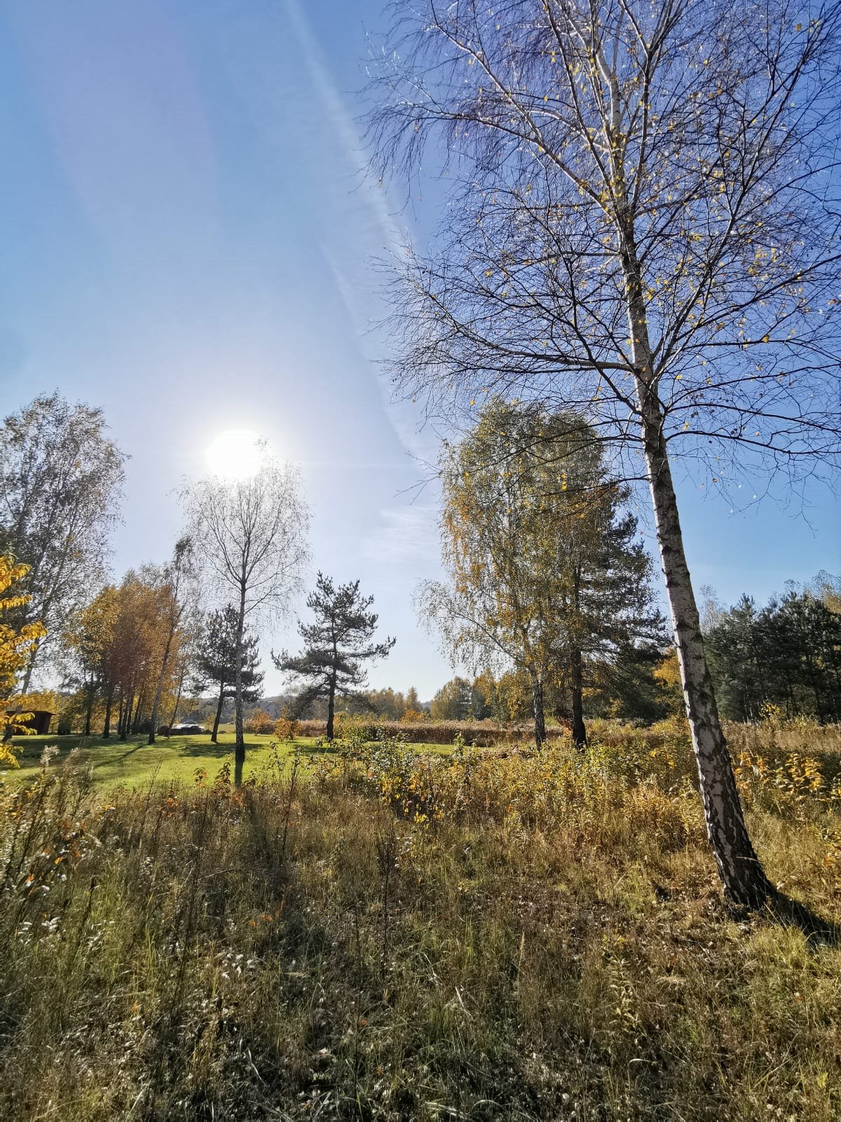 Działka budowlana na sprzedaż Częstochowa, Mirów, Hektarowa  1 089m2 Foto 13