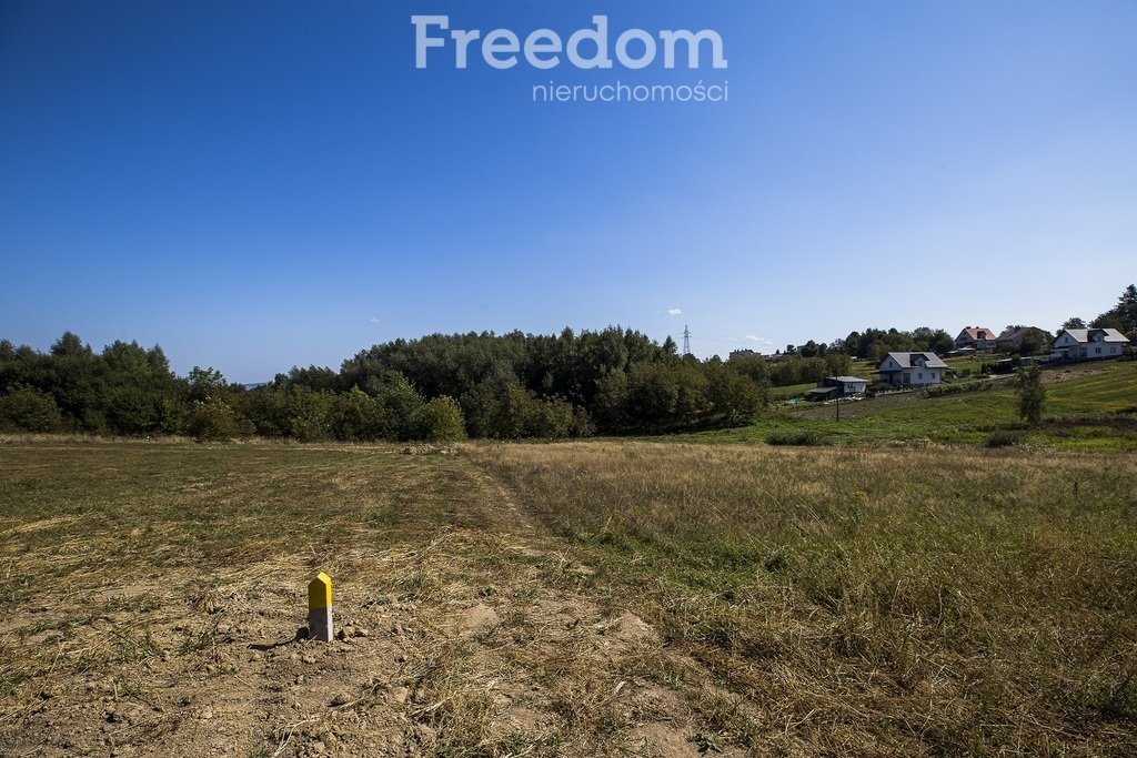 Działka budowlana na sprzedaż Kielanówka  5 500m2 Foto 1