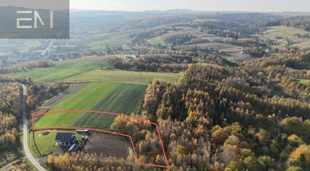 Działka rolna na sprzedaż Dobrzechów  3 900m2 Foto 3