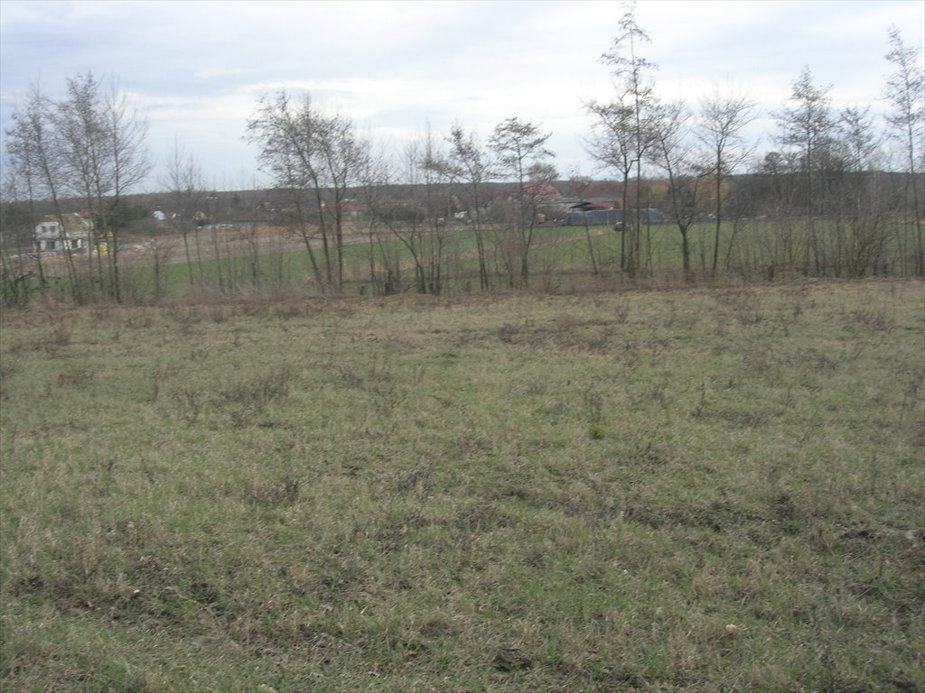 Działka 1000 m² z mediami, blisko Wrocławia, MPZP Iwiny  1 000m2 Foto 1