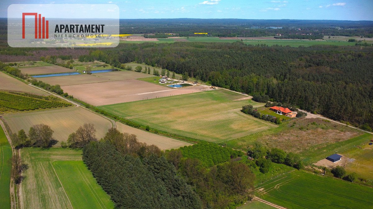 Działka budowlana na sprzedaż Jaźwiny  3 000m2 Foto 1