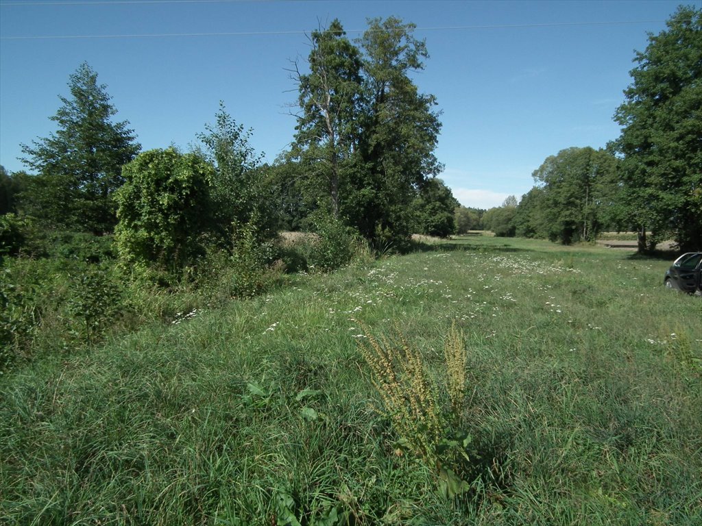 Działka rolna na sprzedaż Ślubowo, Ślubowo  2 432m2 Foto 1