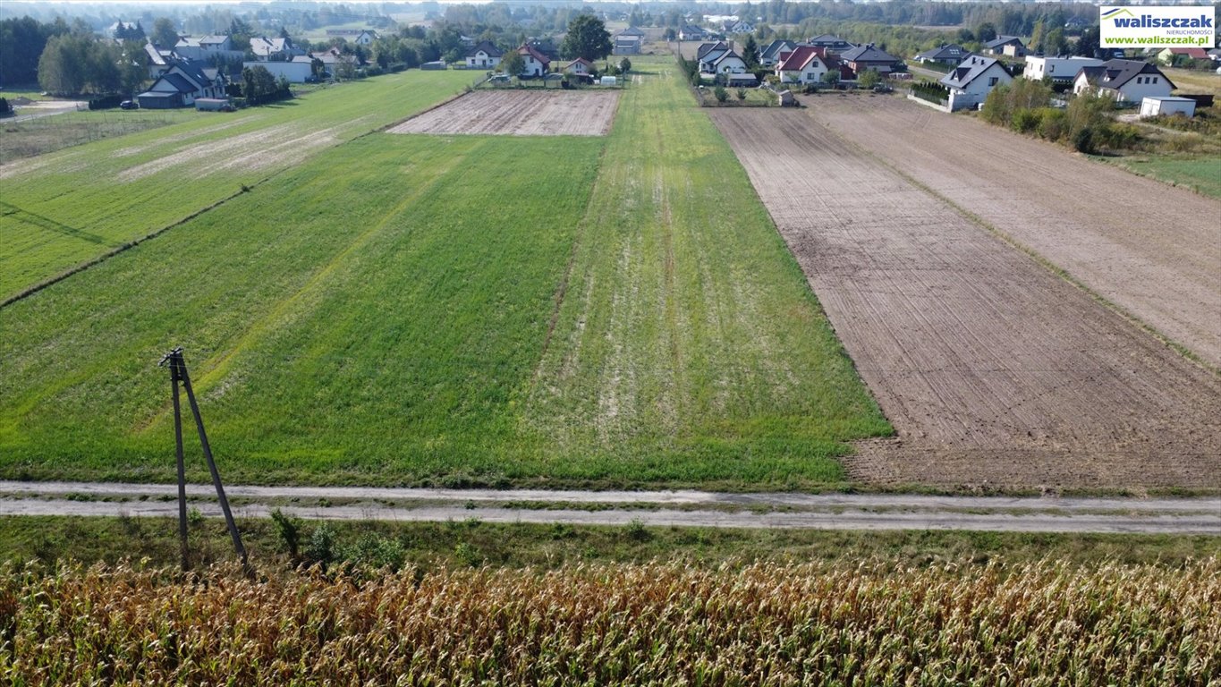 Działka budowlana na sprzedaż Piotrków Trybunalski, Tomaszowska  2 500m2 Foto 1