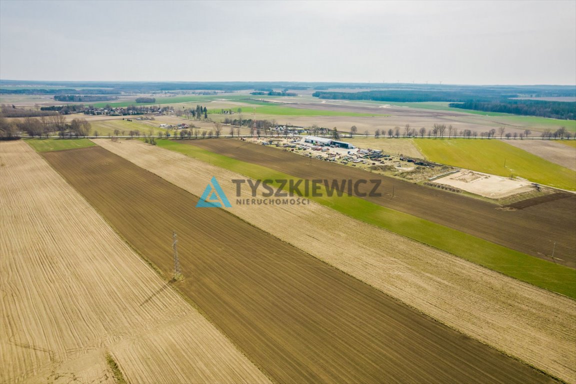 Działka rolna na sprzedaż Stara Dąbrowa  60 000m2 Foto 6