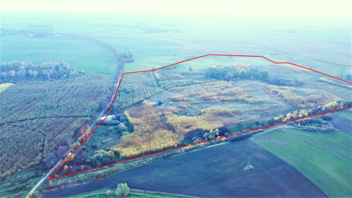 Działka rolna na sprzedaż Koszajny  551 400m2 Foto 4