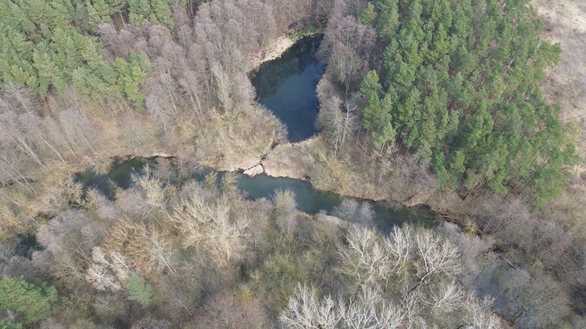 Działka 7050 m² z dostępem do rzeki Świder, spokojna okolica Otwock, Mlądz  7 050m2 Foto 1