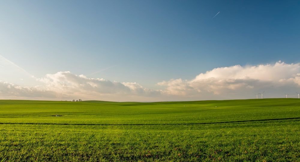 Działka budowlana na sprzedaż Nowodworce  886m2 Foto 1