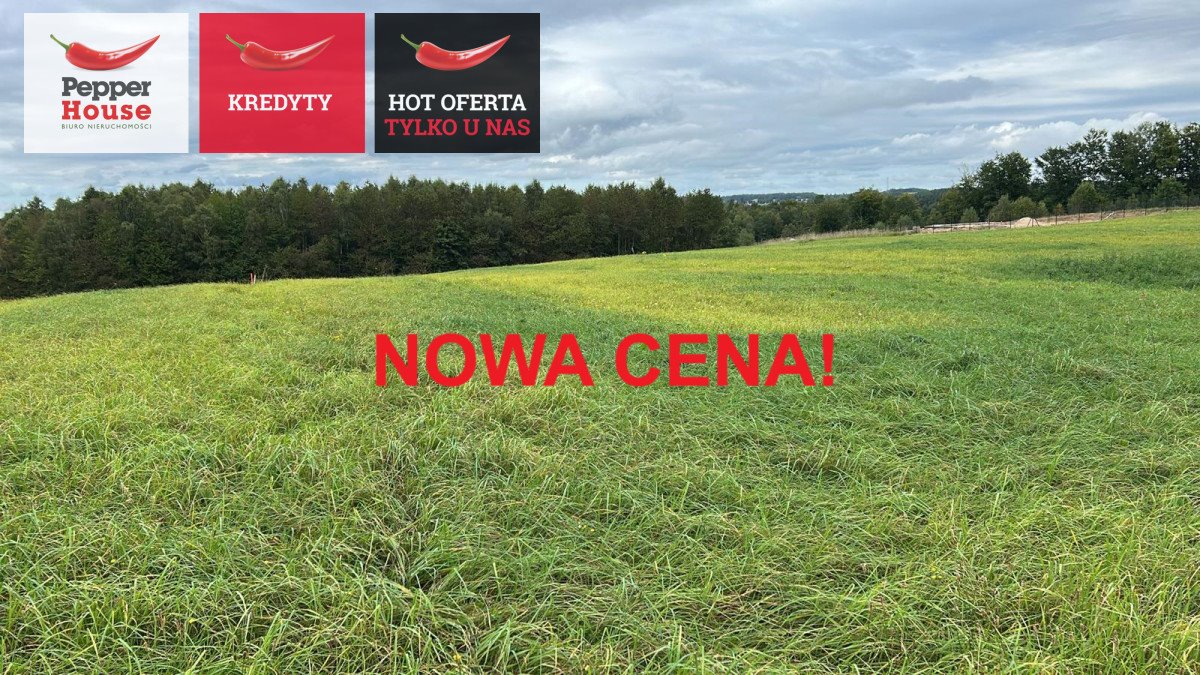 Działka budowlana na sprzedaż Łebno  1 051m2 Foto 1