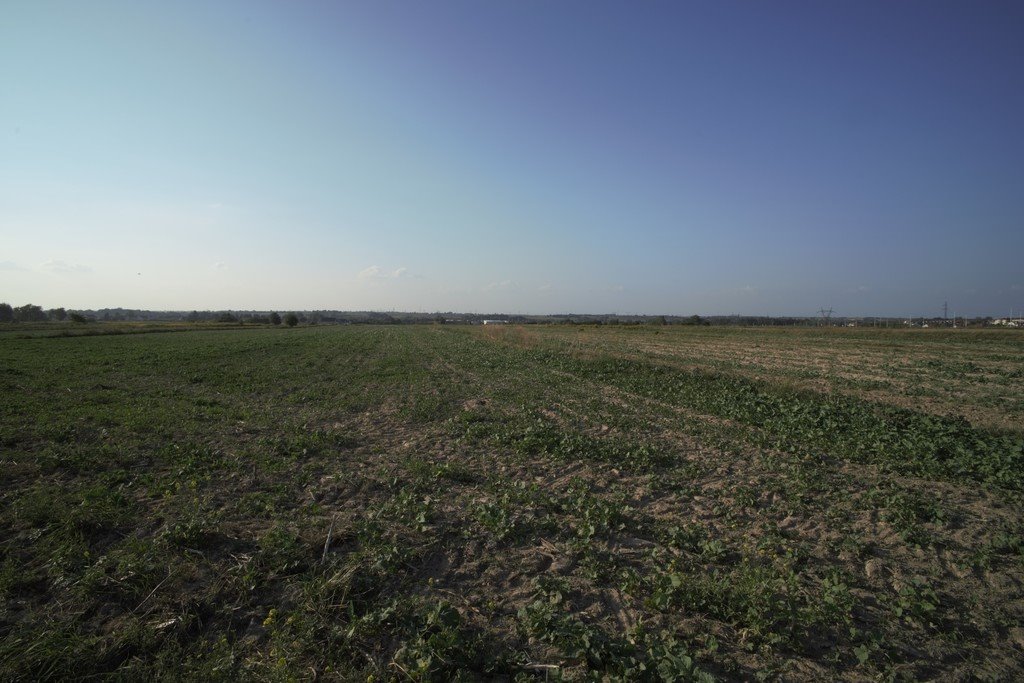 Duża działka 0,94 ha pod usługi lub zabudowę mieszkaniową Długie  9 421m2 Foto 1