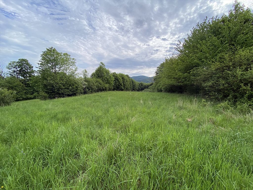 Działka budowlana na sprzedaż Ustroń, Ustroń, Jelenica  2 121m2 Foto 5