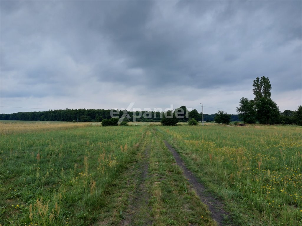 Działka budowlana na sprzedaż Wiskitki  1 511m2 Foto 2