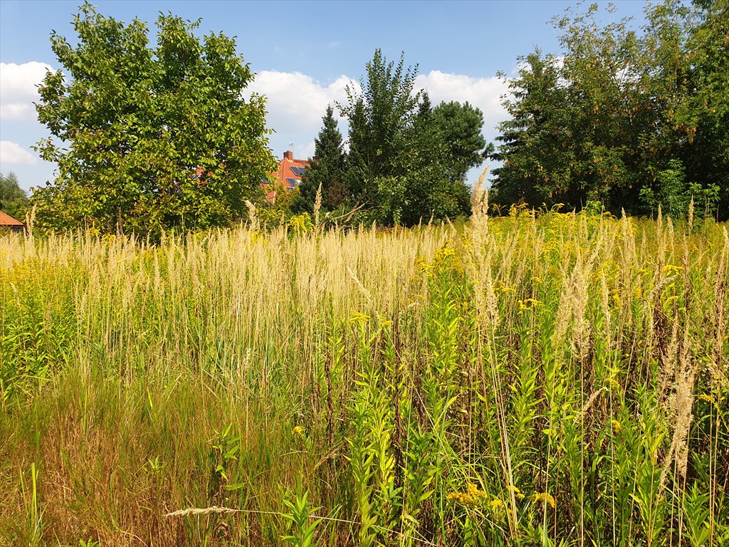 Działka budowlana na sprzedaż Warszawa, Ursynów, Dąbrówka  1 100m2 Foto 5