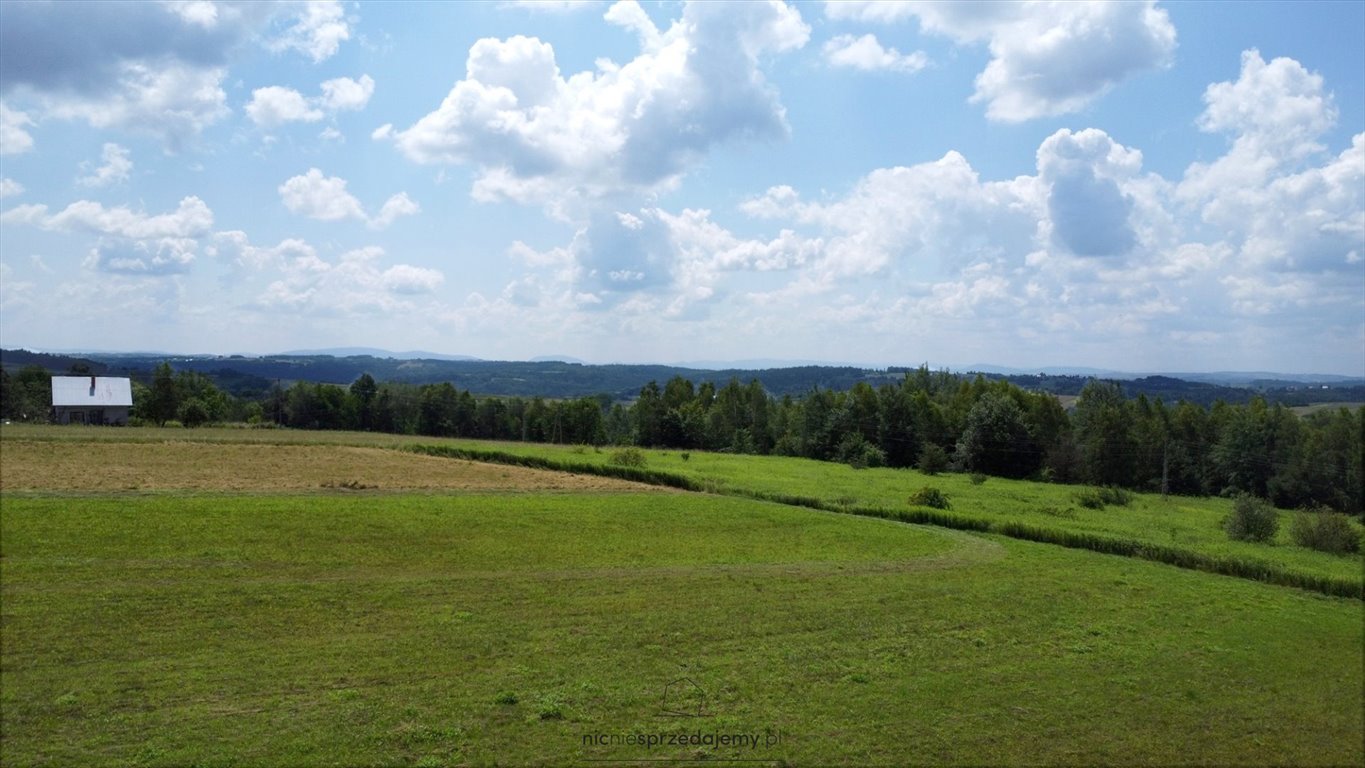 Działka budowlana na sprzedaż Gromnik, Rzepiennik Marciszewski, Rzepiennik Marciszewski, Rzepiennik Marciszewski  3 675m2 Foto 1