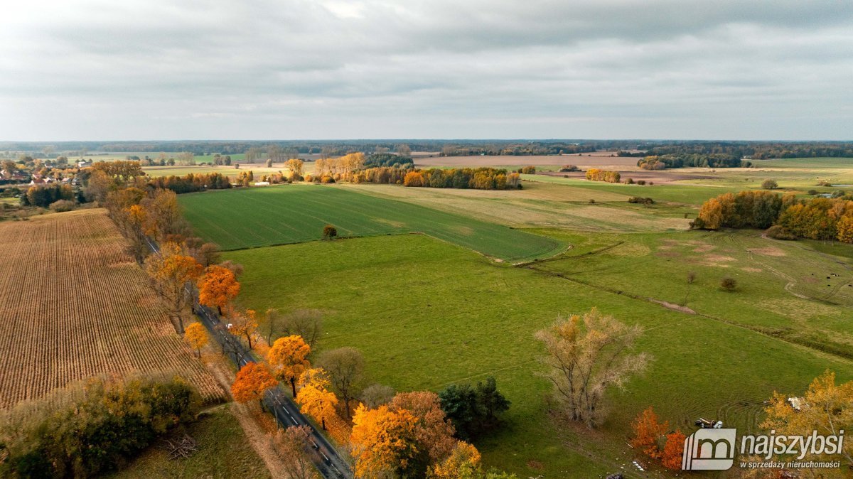 Działka rolna na sprzedaż Korytowo, centrum  13 800m2 Foto 3