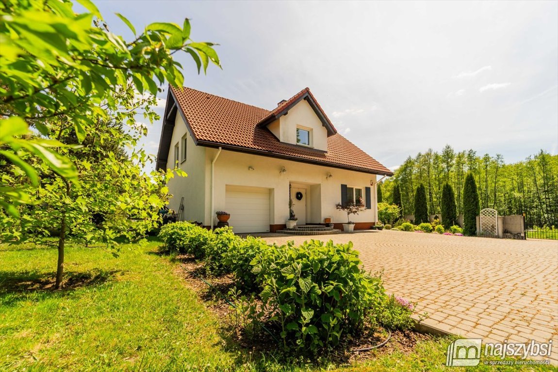 Nowoczesny dom 144 m2 z kominkiem i własnym źródłem wody - polecam! Poczernin, Przemocze  145m2 Foto 1