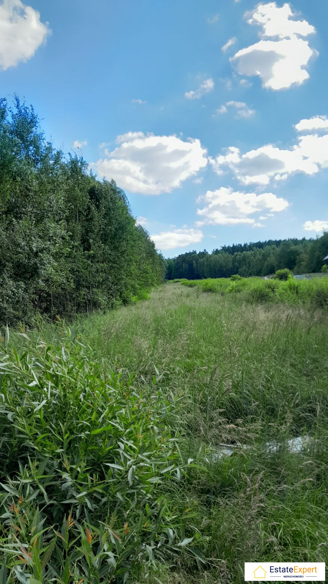 Działka budowlana na sprzedaż Masłów Drugi, Masłów Drugi  800m2 Foto 5