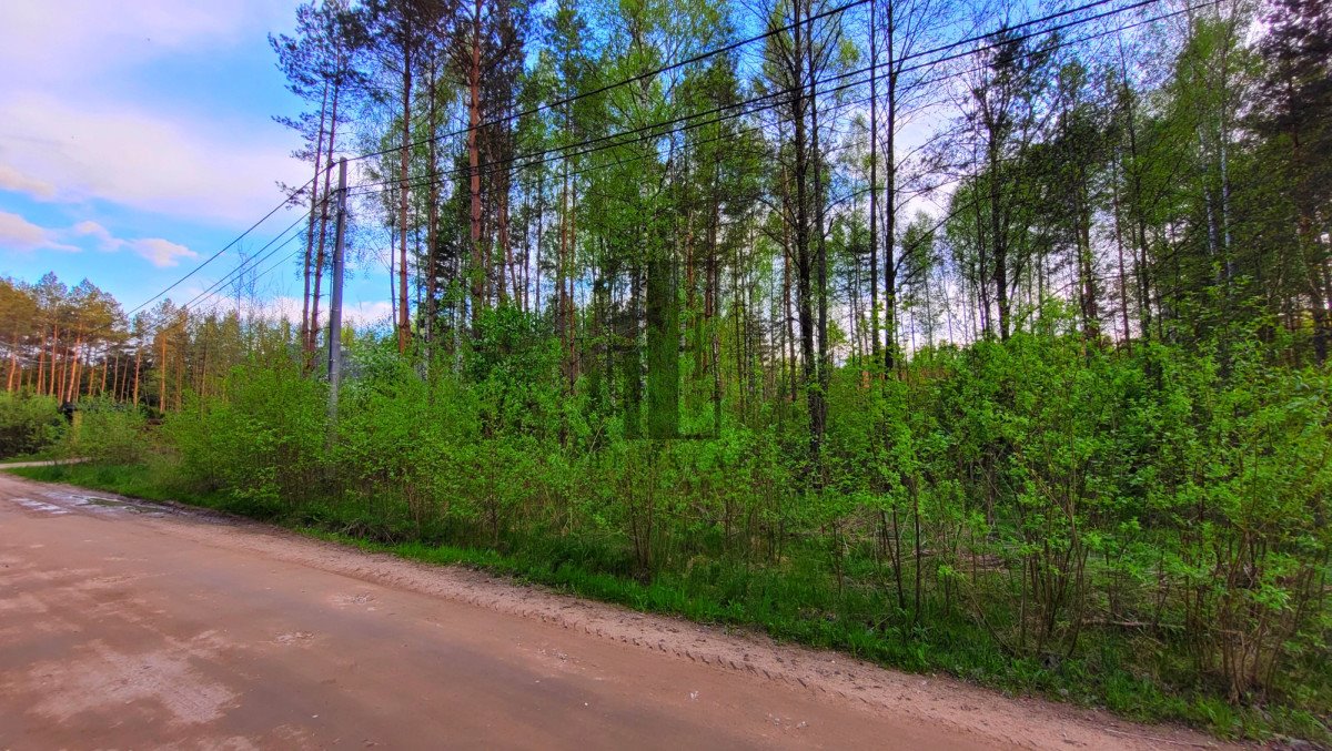 Działka przemysłowo-handlowa na sprzedaż Lipowy Most  1 985m2 Foto 2