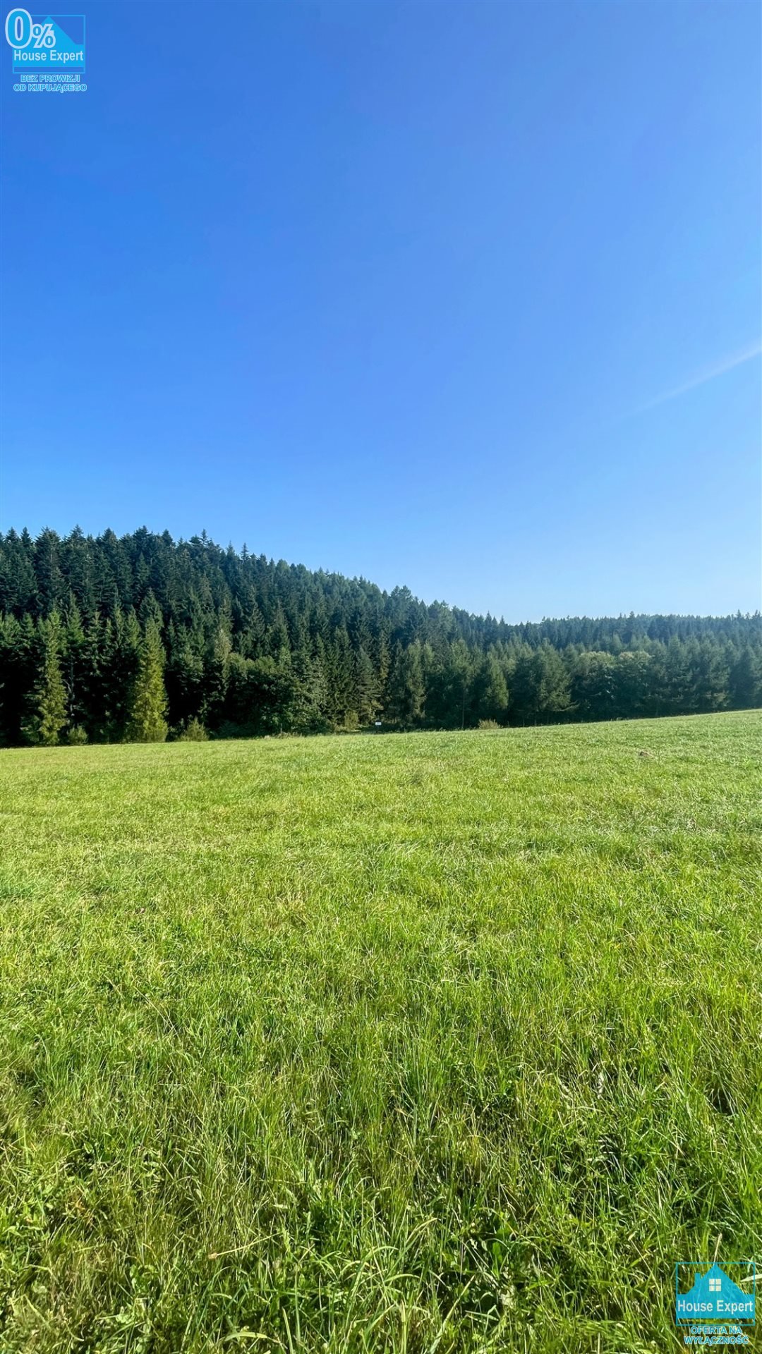 Działka inna na sprzedaż Krynica-Zdrój, Kopciowa  5 100m2 Foto 5