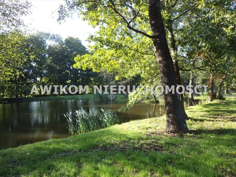 Zapraszam do obejrzenia działki 53 200 m² z stawami i parkiem Odrano-Wola  53 200m2 Foto 1
