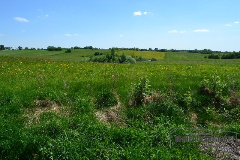 Działka budowlana na sprzedaż Czarne Wielkie  14 009m2 Foto 8