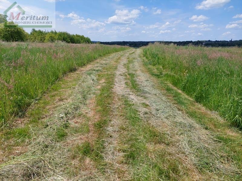 Działka budowlana na sprzedaż Krosno, Krosno  1 197m2 Foto 7