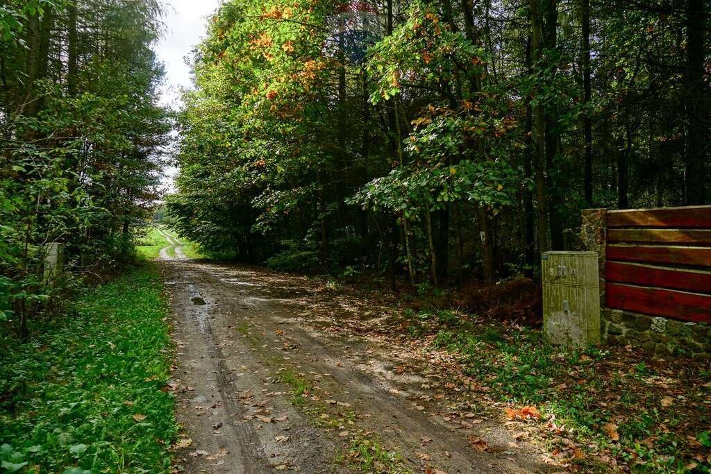 Działka budowlana na sprzedaż Waleriany  1 701m2 Foto 1