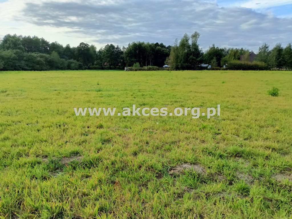 Działka budowlana na sprzedaż Robercin  4 744m2 Foto 8