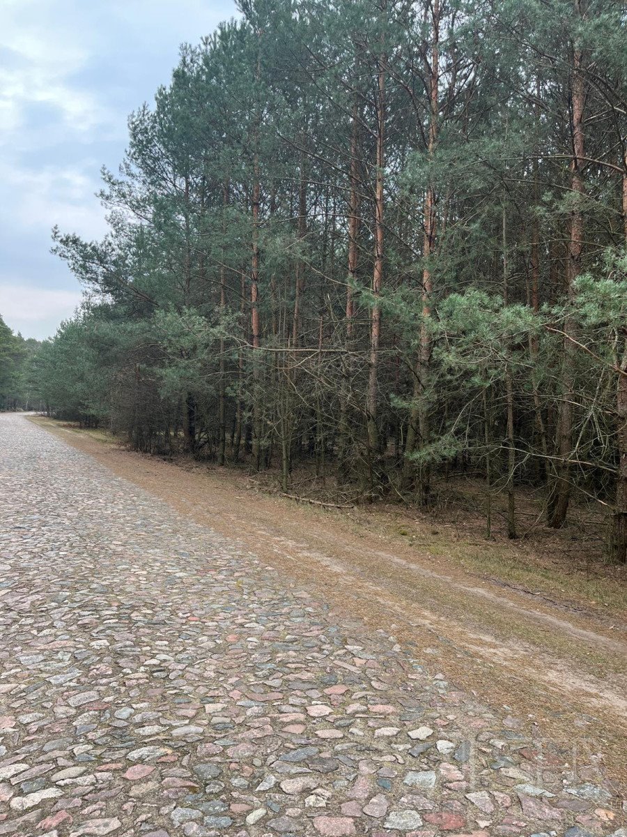 Działka 14 900 m² z lasem i planem zabudowy Dębienica  14 900m2 Foto 1