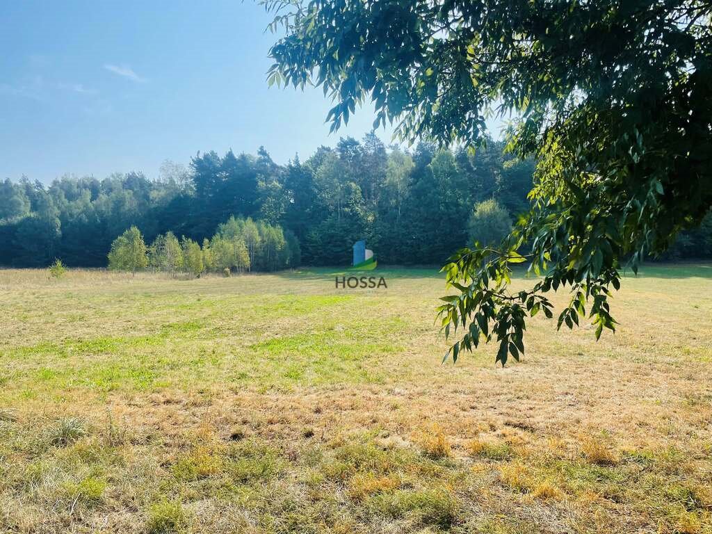 Działka budowlana na sprzedaż Szymany  5 720m2 Foto 9