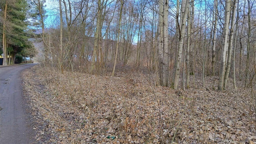 Atrakcyjne działki pod rekreację blisko Jeziora Żywieckiego Żywiec, Królowej Jadwigi  2 637m2 Foto 1