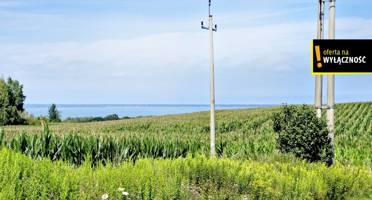 Działka rolna na sprzedaż Łęcze  26 900m2 Foto 4