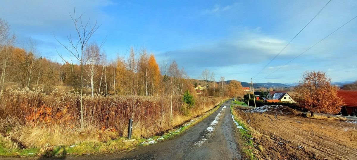 Działka budowlana na sprzedaż Wojcieszyce  1 482m2 Foto 9