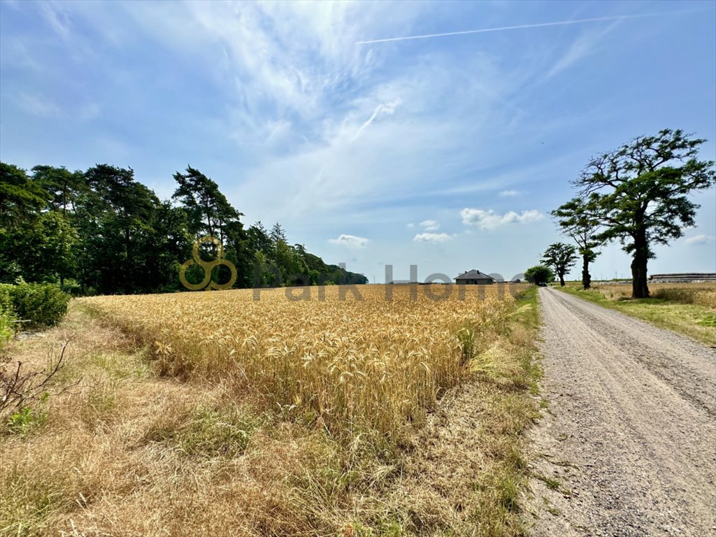 Działka budowlana na sprzedaż Srocko Małe  1 348m2 Foto 1
