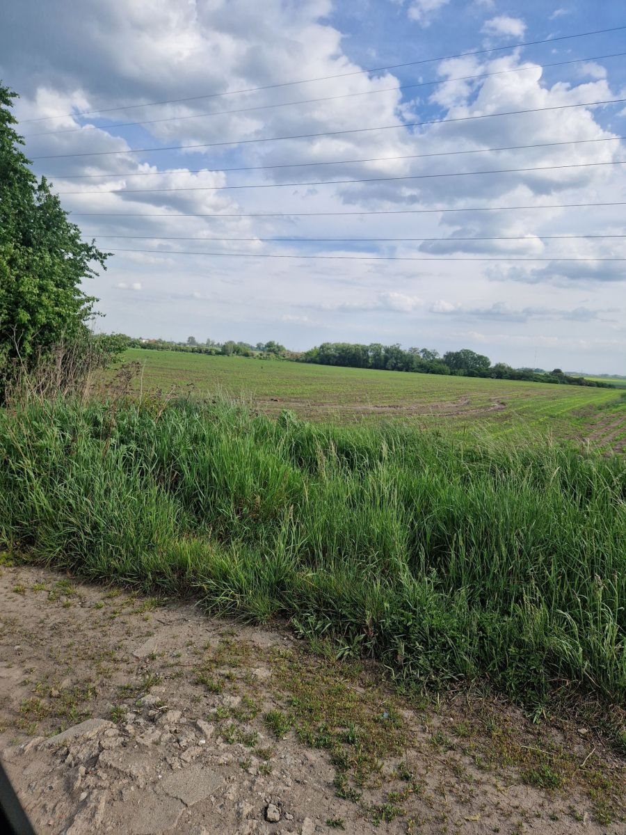 Działka rolna na sprzedaż Wysoka, Pod telekom. urządzenia przekaźnikowe  1 053m2 Foto 1